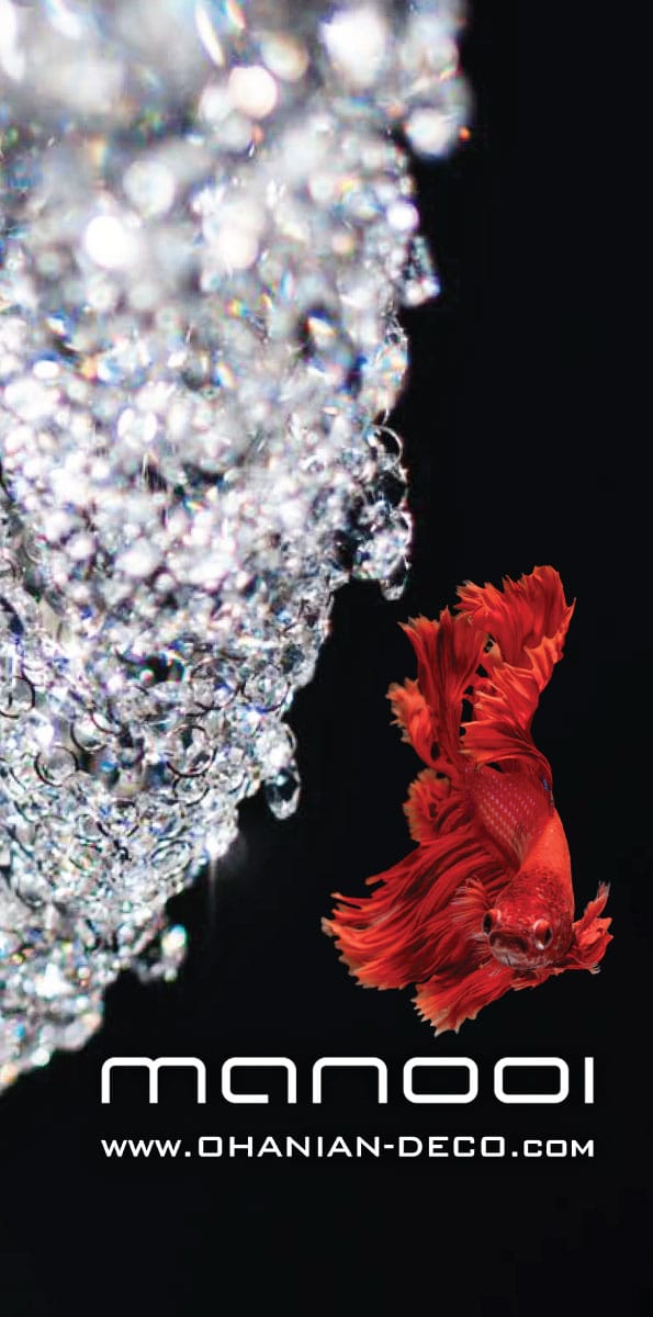 مانویی 21 مانویی