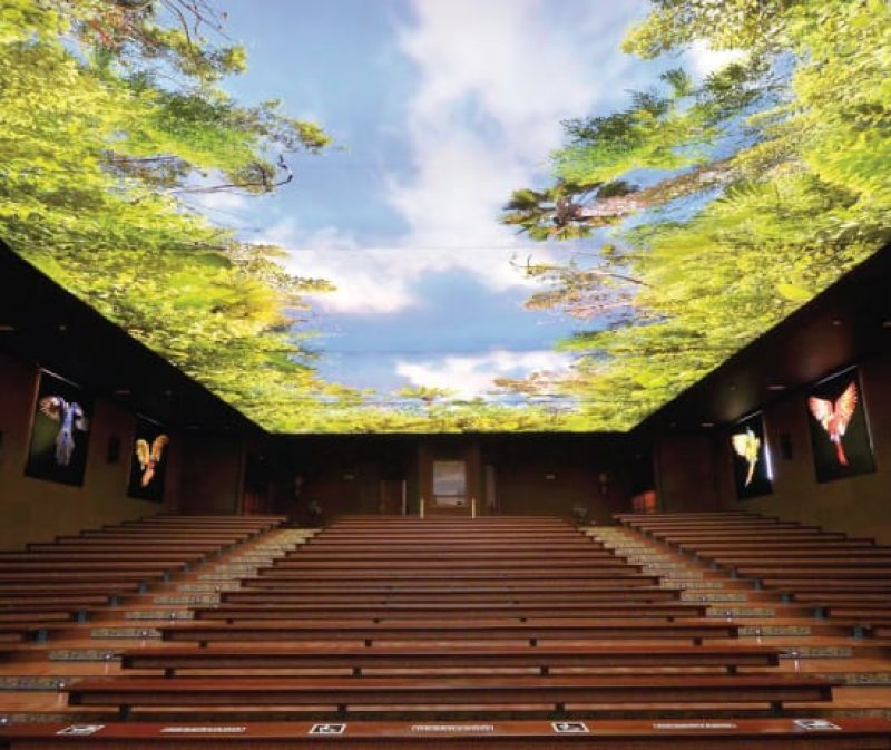 Barrisol 2 Baririsol1